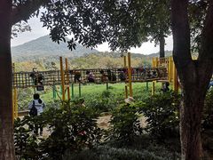 -杭州少年儿童公园