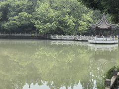 -汇龙潭