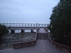 -宝安西湾红树林湿地公园