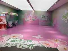 -凯德MALL(望京店)