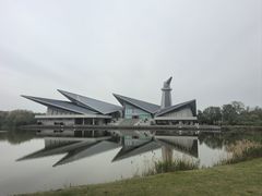 -盐城丹顶鹤湿地生态旅游区