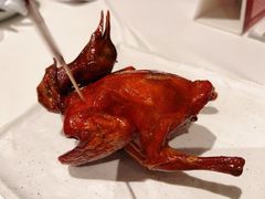 -侨美食家·41年地道粤菜(珠江新城店)