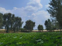 -东郊湿地公园