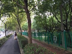 -新江湾城公园