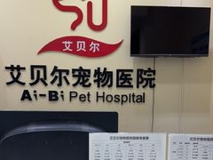 -艾贝尔宠物医院 ·内科全科(梁溪路店)