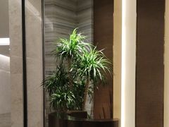 -臻萃轩中餐厅(国家会展中心店)