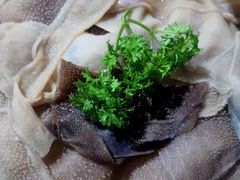 -蜀都三哥火锅店(力盟商业步行街店)
