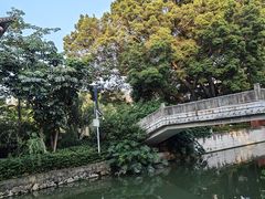 -荔湾湖公园