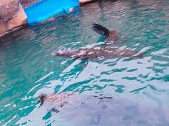 -华夏文旅海洋公园