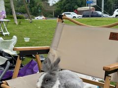 -桤木河湿地公园