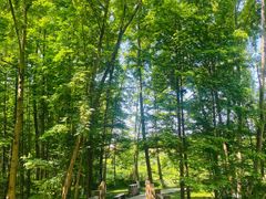 -桤木河湿地公园