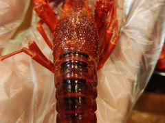 -老鄞江清水龙虾•赵赵家(江北店)