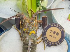 -喜聚薈·花膠雞海鮮火鍋(越秀店)