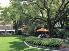 -马勒别墅·中餐厅