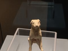 -隋唐大运河文化博物馆
