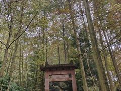 -凤栖山
