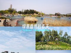 -商丘市人民公园