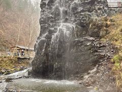 -凤凰山国家森林公园