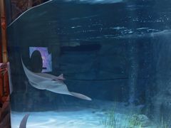 -沈阳海洋探索中心