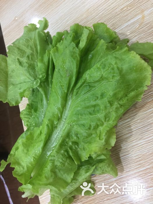 城鑫烧烤生菜图片 - 第6张
