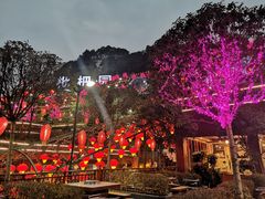 -枇杷园食为鲜火锅(南山店)