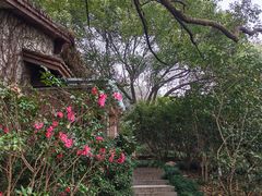 -中国茶叶博物馆(双峰馆区)