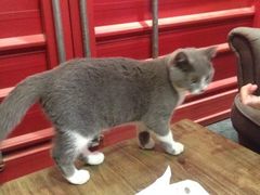 iphone_upload_pic-MIKAKU(万达广场上海宝山店)