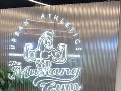 -TMG潮流健身(奥体莲荷里店)