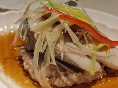 -百乐潮州酒家(时代广场店)