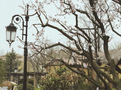 -青岛香根温泉酒店