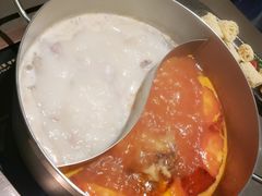 番茄牛膝骨&捞王猪肚鸡锅-捞王锅物料理(上海世茂广场店)