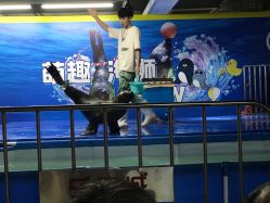 -酷嗒动物文化乐园(cutezoo西溪乐天城店)