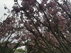 -观澜湖生态运动公社