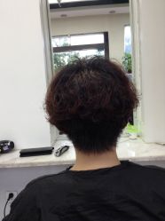 TIMG_407611584.60740-木北造型