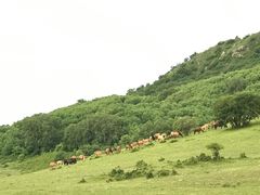 -塞罕坝国家级自然保护区