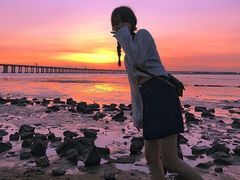 -宝安西湾红树林湿地公园