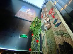 点击看大图 -木北造型