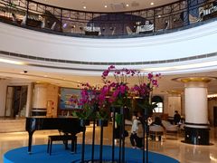 -珠海怡景湾大酒店