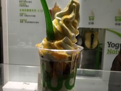 -Salud撒露欧洲冻酸奶(798艺术区店)