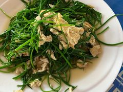 -许记驴肉黄面胡杨焖饼