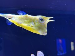 -上海海洋水族馆
