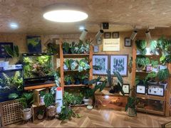 -Rabbit Cafe私房西餐甜点咖啡(栖霞路店)