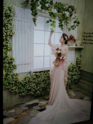 -苏菲亚婚纱影楼尊爵店(昆区店)