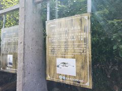 -花岙岛