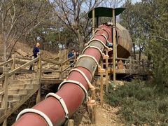 -北京西山国家森林公园