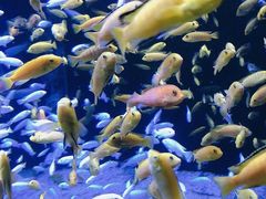 -成都浩海立方海洋公园