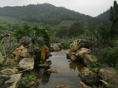 -广州市石门国家森林公园