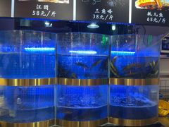 水产区-蛙一刀·麻椒鱼火锅(金仙桥店)