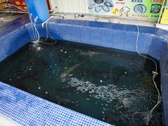 -鸿渡渔庄·特色鸭咀鱼