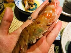 -蟹将军·松叶蟹和牛日料放题自助(K11店)